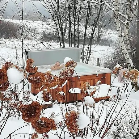 De Charme 5 Etoiles Pour Couple Avec Sauna Et Jacuzzi Exterieurs Privatifs Villa Peaugres